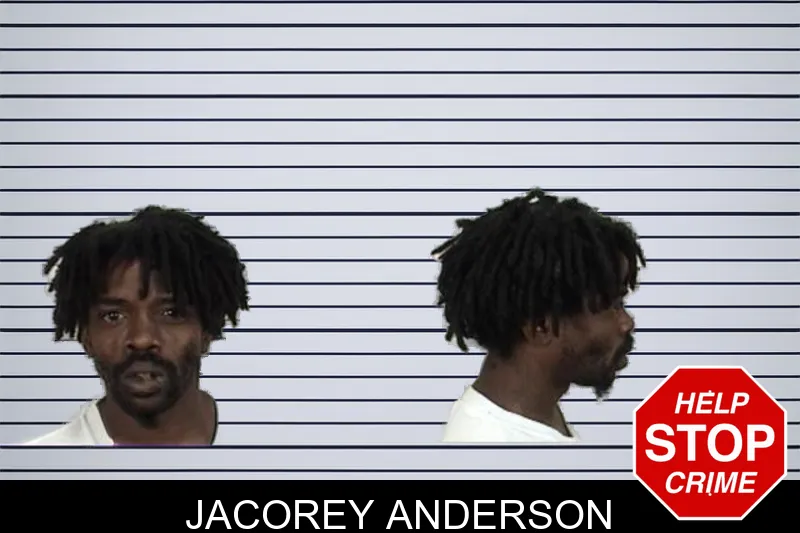 Jacorey Anderson mugshot
