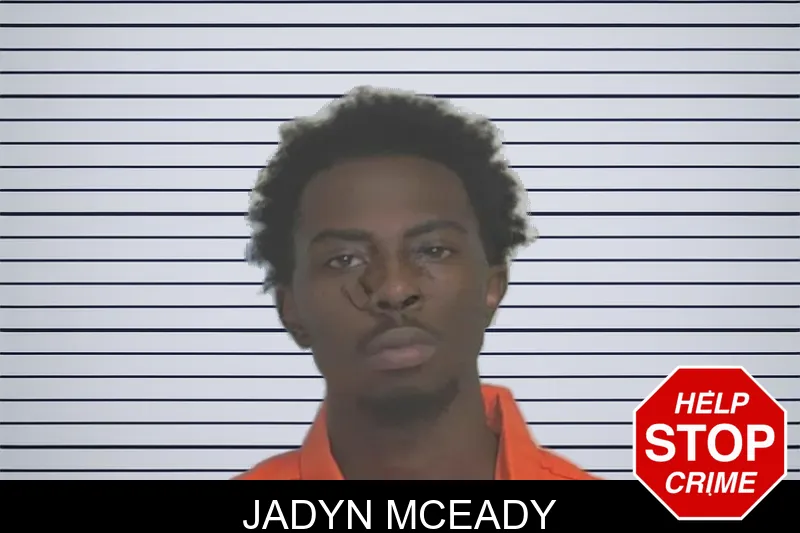 Jadyn McEady mugshot