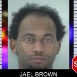 Jael Brown mugshot