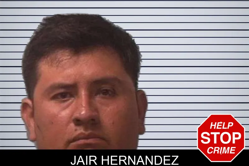 Jair Hernandez mugshot