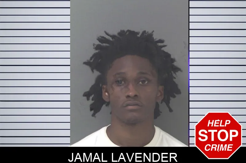 Jamal Lavender mugshot