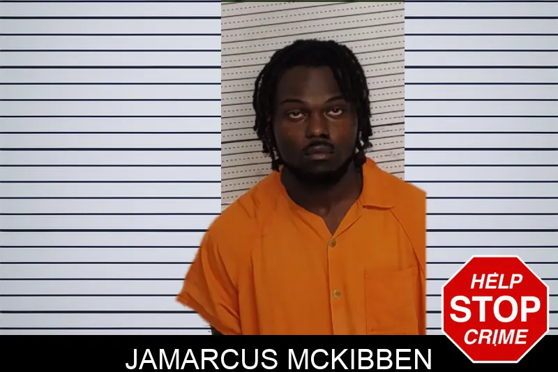Jamarcus McKibben mugshot