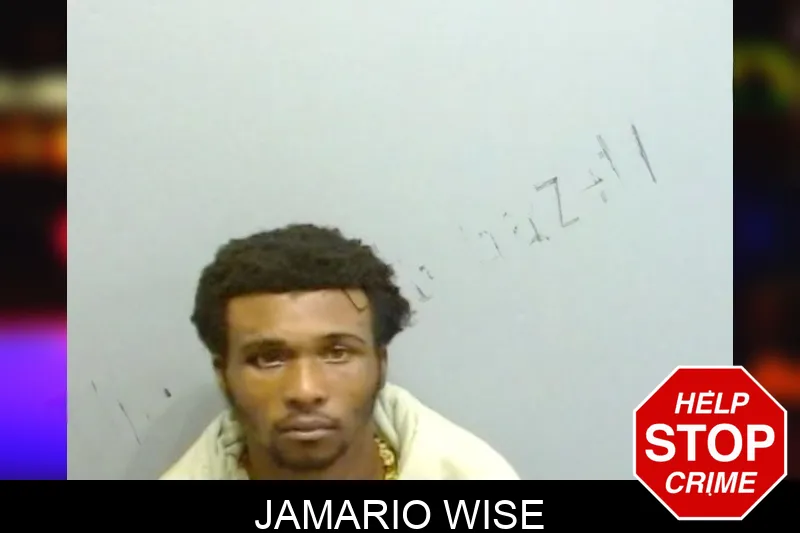 Jamario Wise mugshot