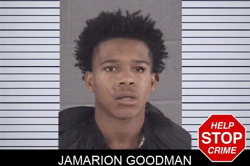 Jamarion Goodman mugshot