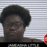 Jameasha Little mugshot