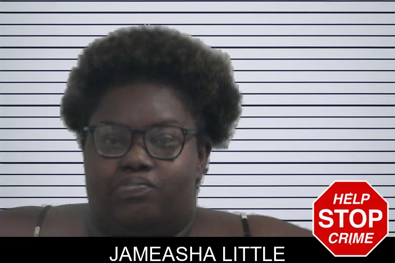 Jameasha Little mugshot
