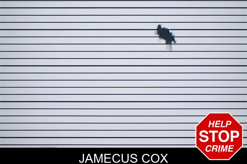 Jamecus Cox mugshot