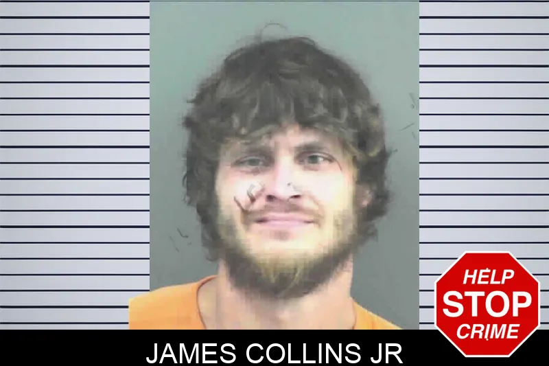 James Collins Jr mugshot