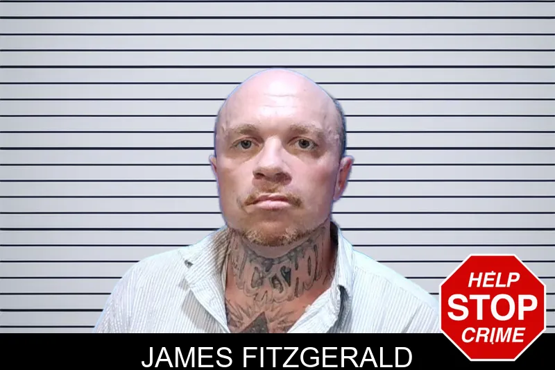 James Fitzgerald mugshot