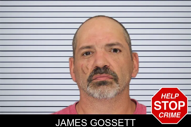 James Gossett mugshot
