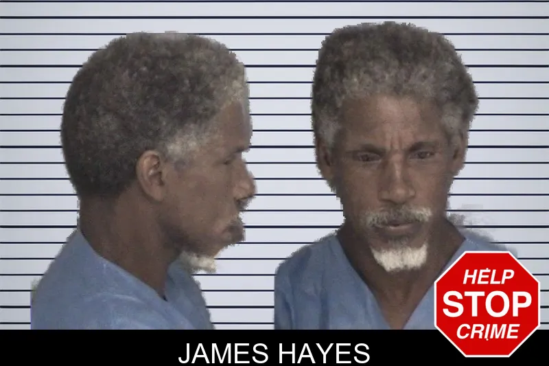 James Hayes mugshot