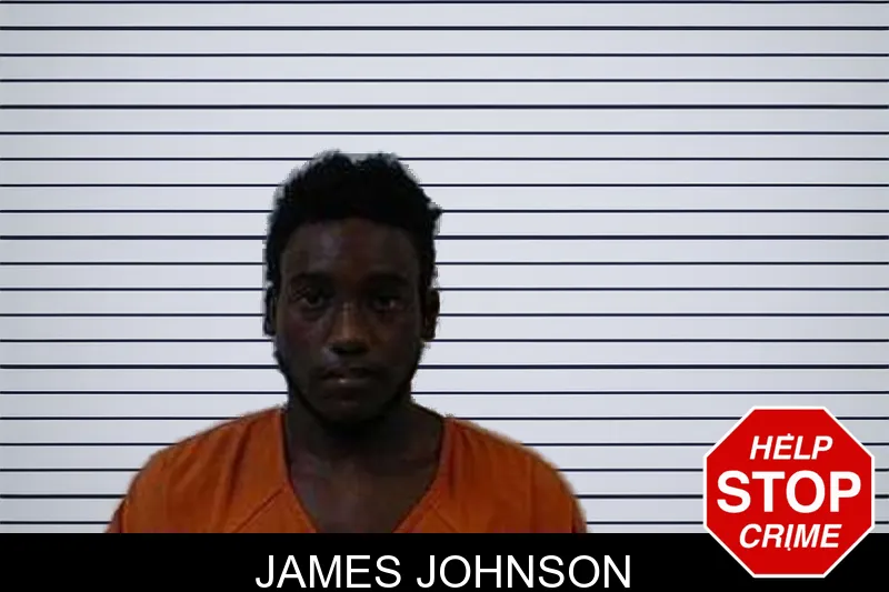 James Johnson mugshot