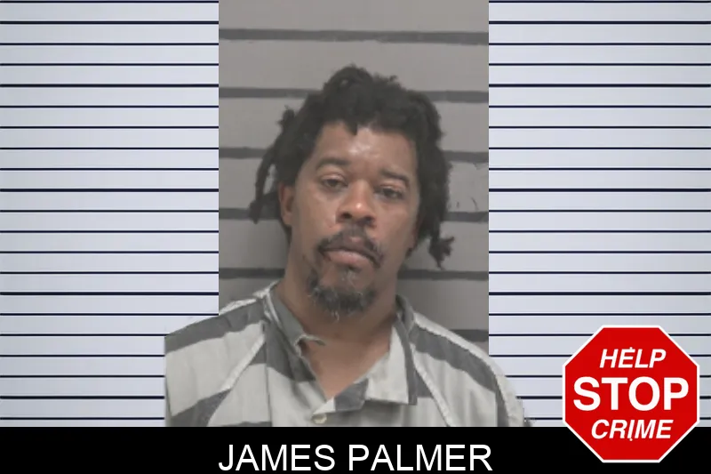 James Palmer mugshot