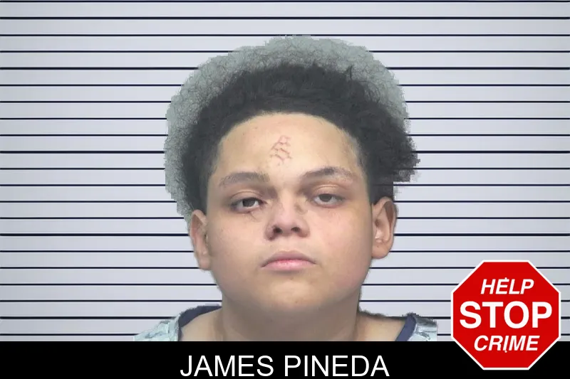 James Pineda mugshot