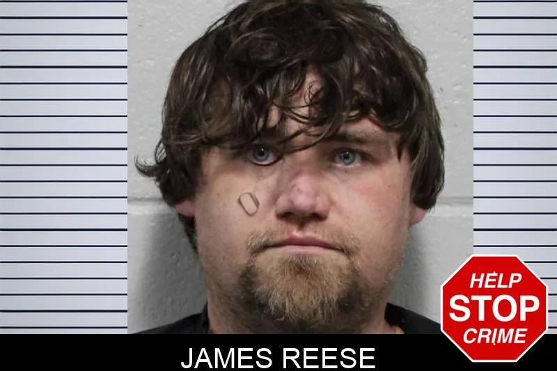 James Reese mugshot