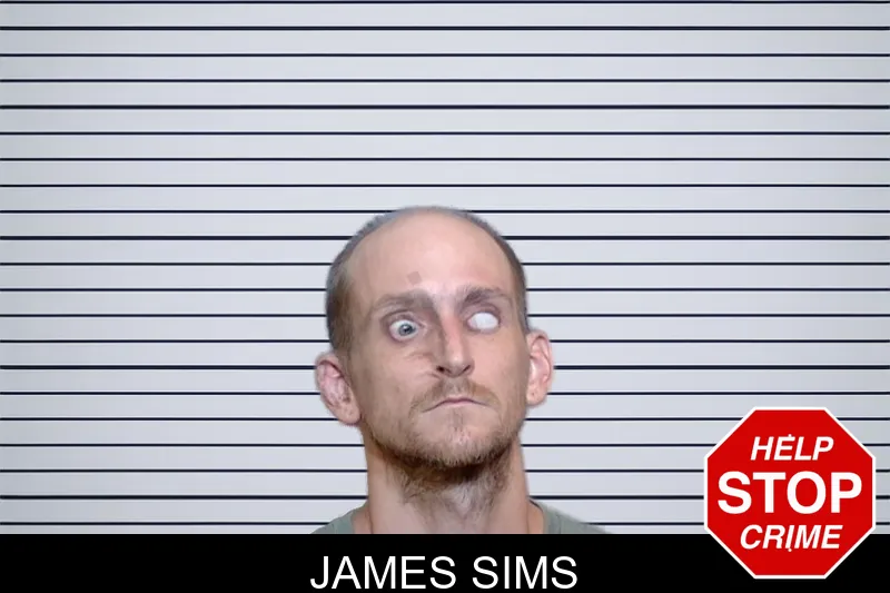 James Sims mugshot