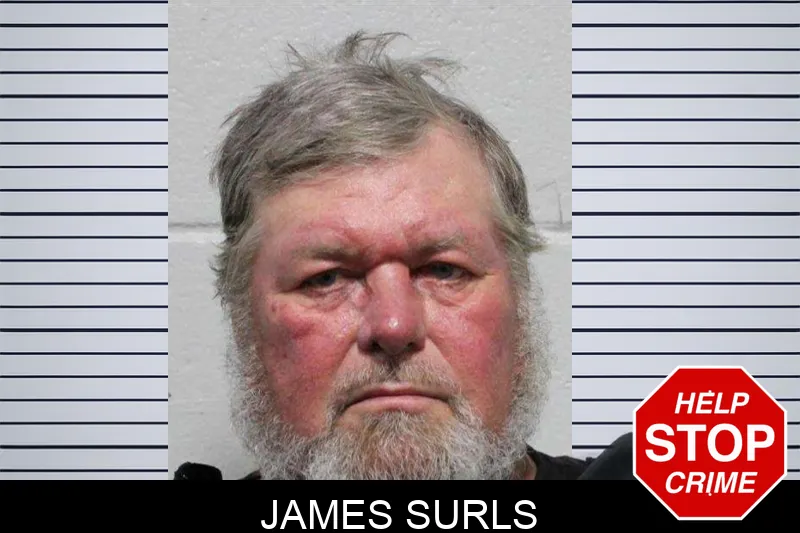 James Surls mugshot