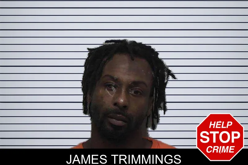 James Trimmings mugshot