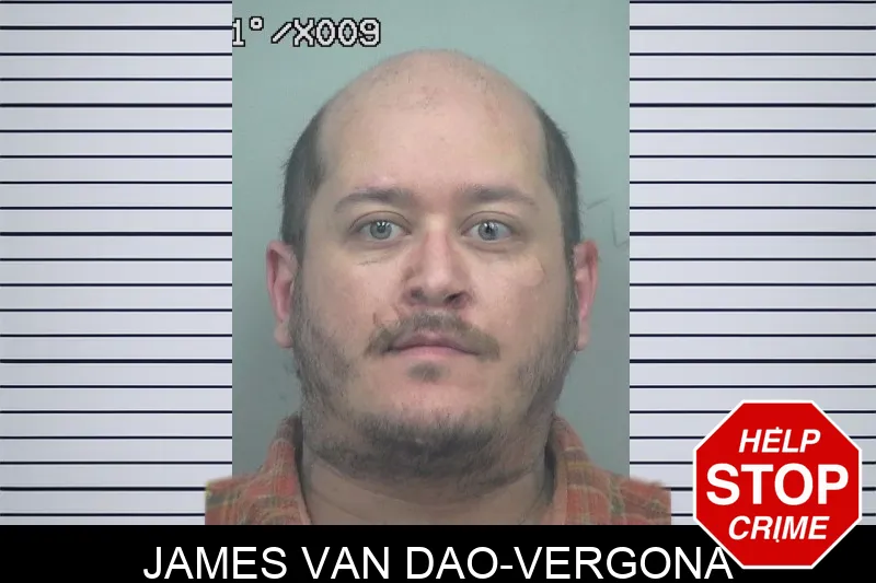 James Van Dao-Vergona mugshot