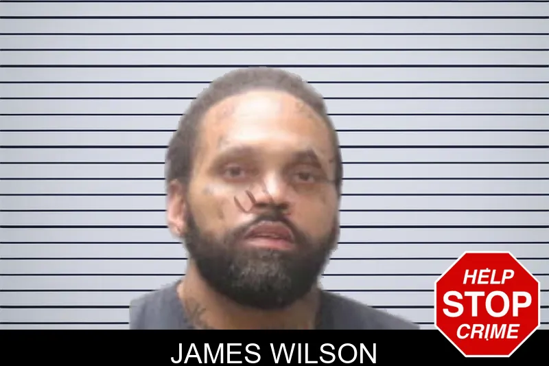 James Wilson mugshot
