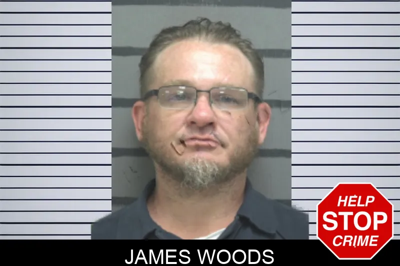 James Woods mugshot