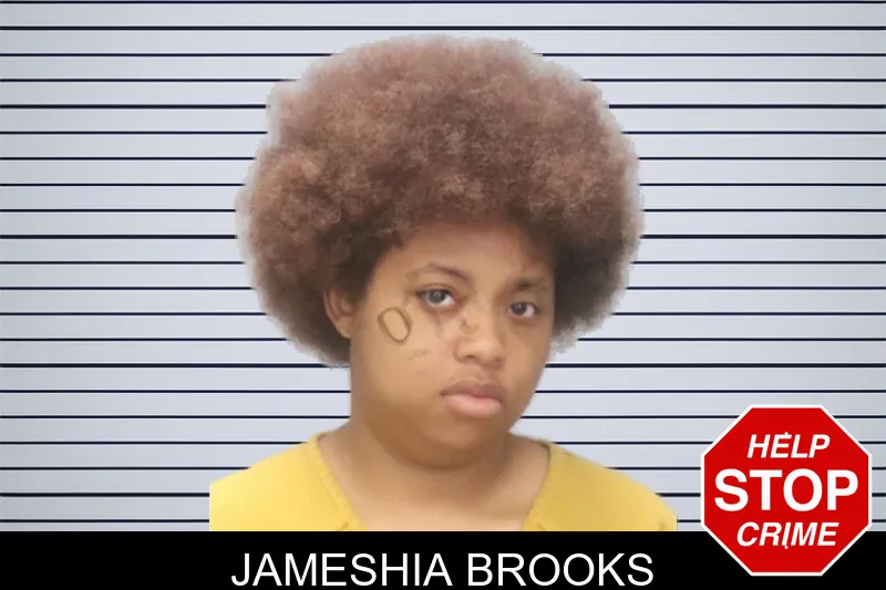 Jameshia Brooks mugshot