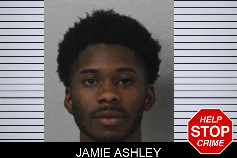 Jamie Ashley mugshot