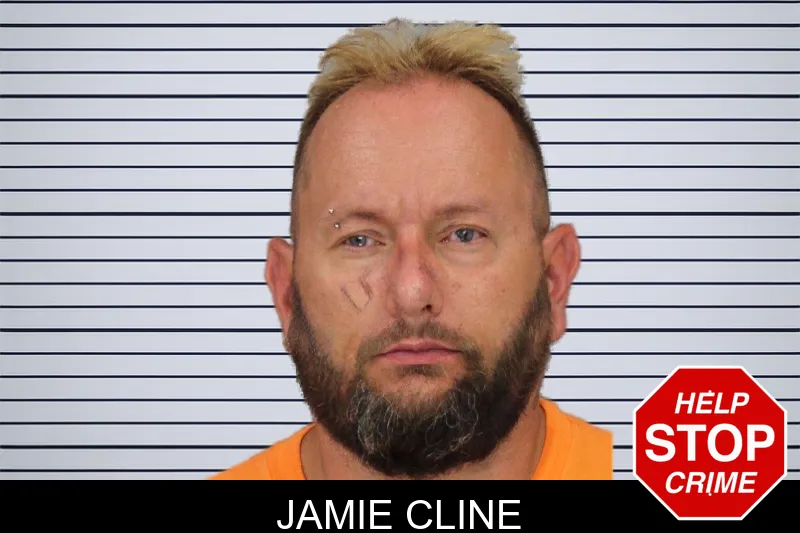 Jamie Cline mugshot
