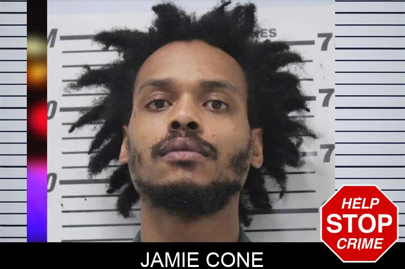 Jamie Cone mugshot