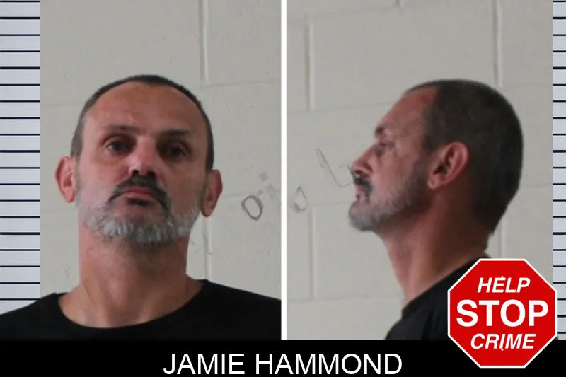 Jamie Hammond mugshot – Houston County , Georgia Jamie Hammond mugshot