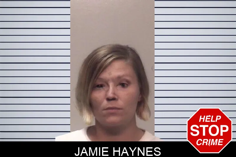 Jamie Haynes mugshot