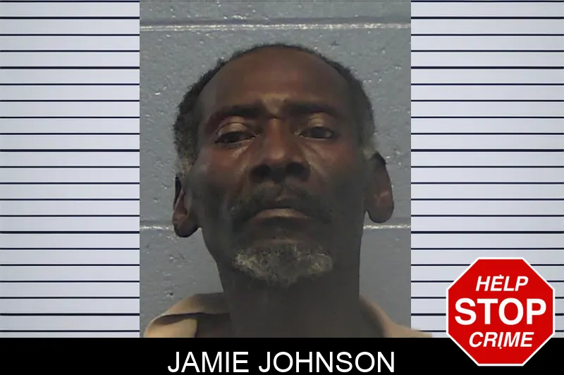 Jamie Johnson mugshot