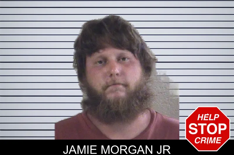 Jamie Morgan Jr mugshot