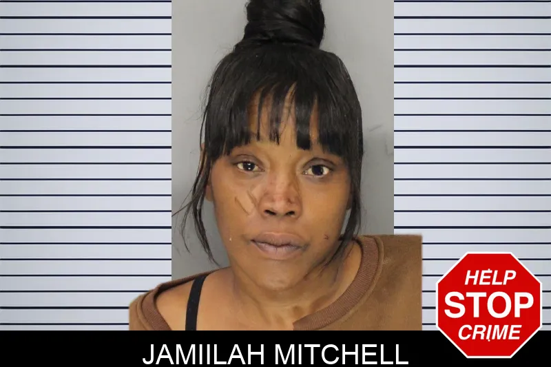 Jamiilah Mitchell mugshot