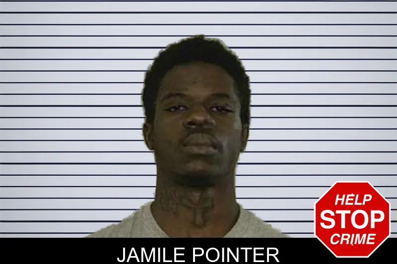 Jamile Pointer mugshot