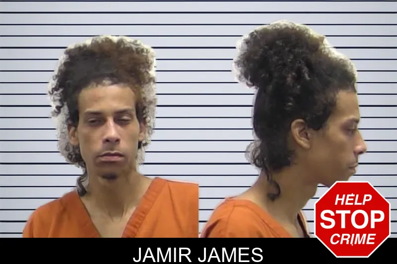 Jamir James mugshot