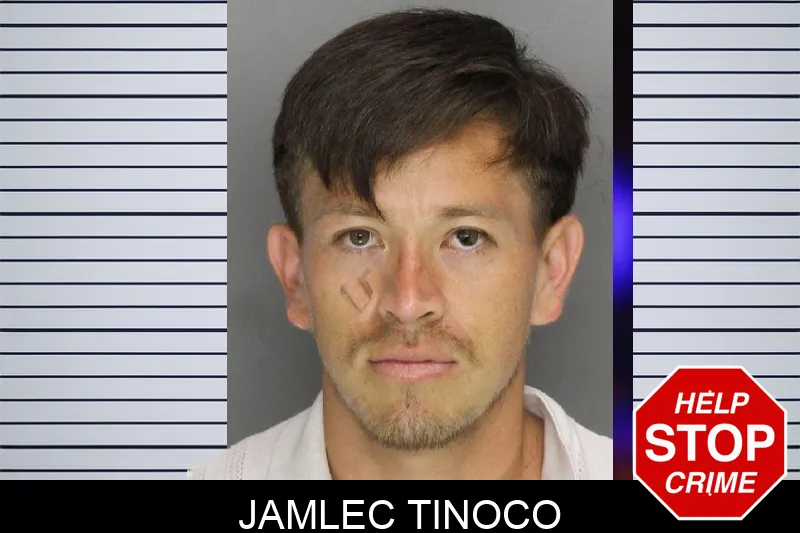Jamlec Tinoco mugshot