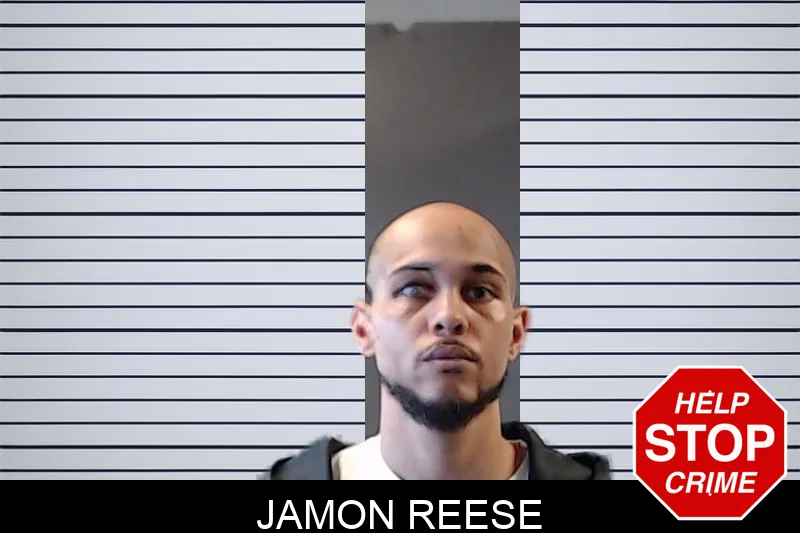 Jamon Reese mugshot