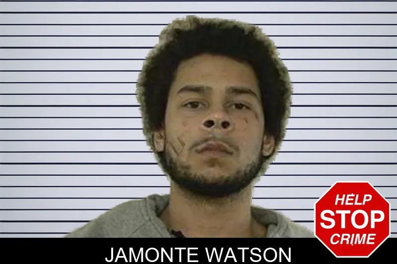 Jamonte Watson mugshot