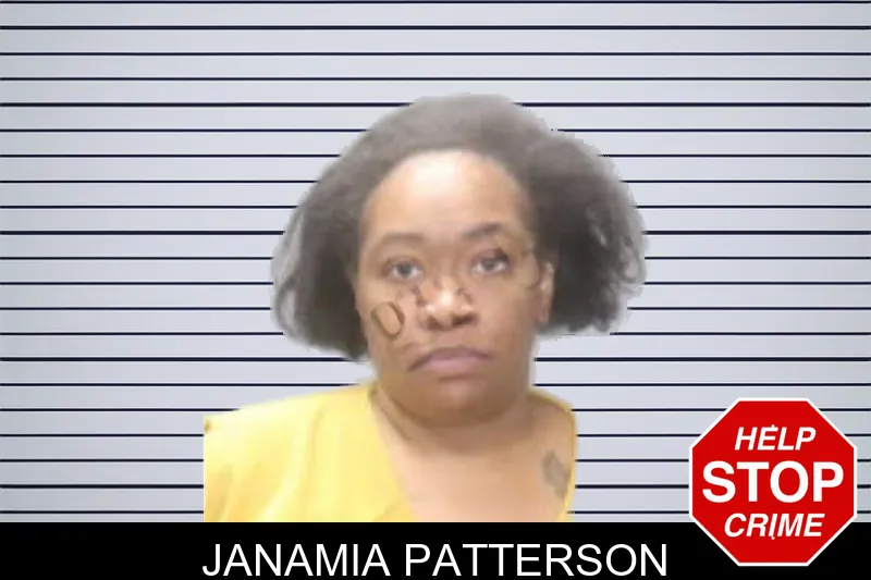 Janamia Patterson mugshot