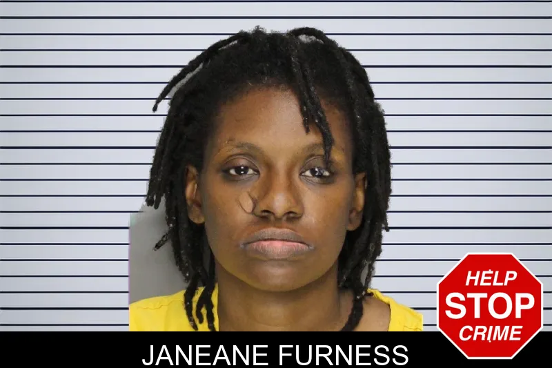 Janeane Furness mugshot