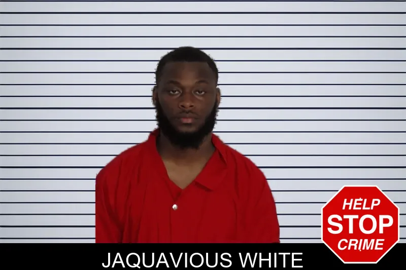 Jaquavious White mugshot