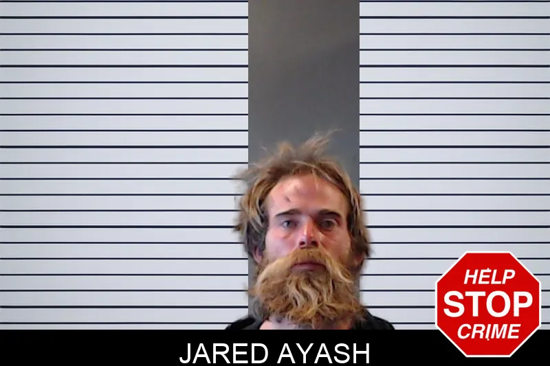 Jared Ayash mugshot