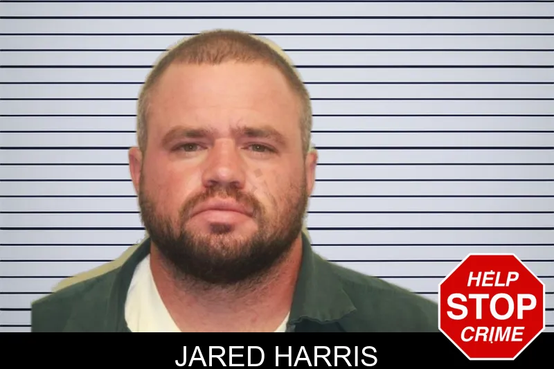 Jared Harris mugshot
