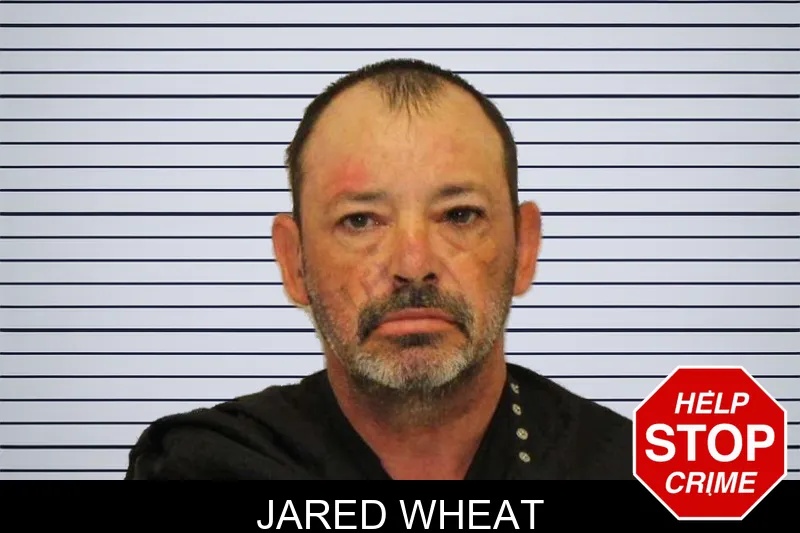 Jared Wheat mugshot