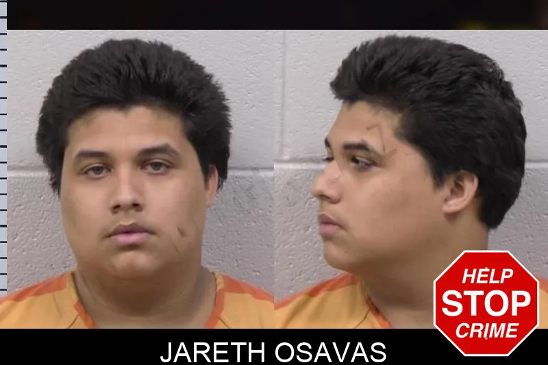 Jareth Osavas mugshot