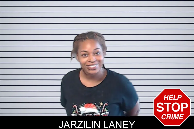Jarzilin Laney mugshot