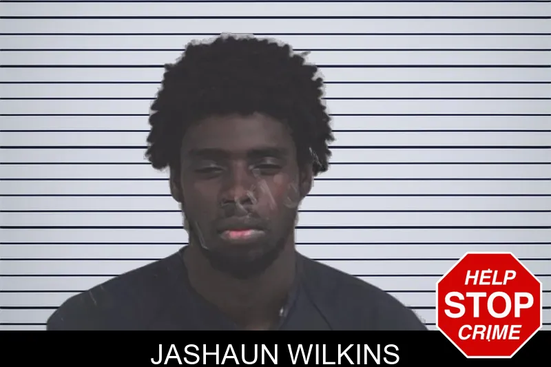 Jashaun Wilkins mugshot