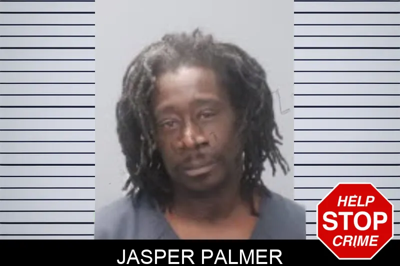 Jasper Palmer mugshot