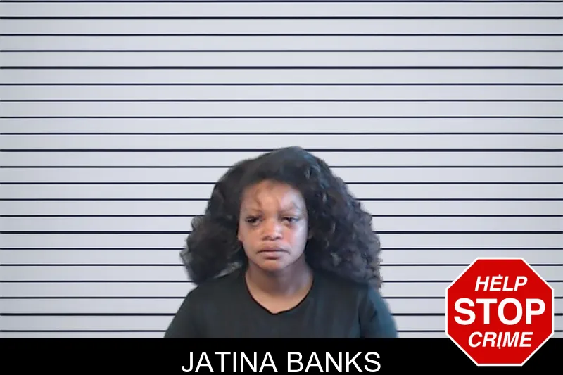 Jatina Banks mugshot